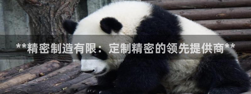 彩神8彩平台客服：**精密制造有限：定制精密的领先提供商**