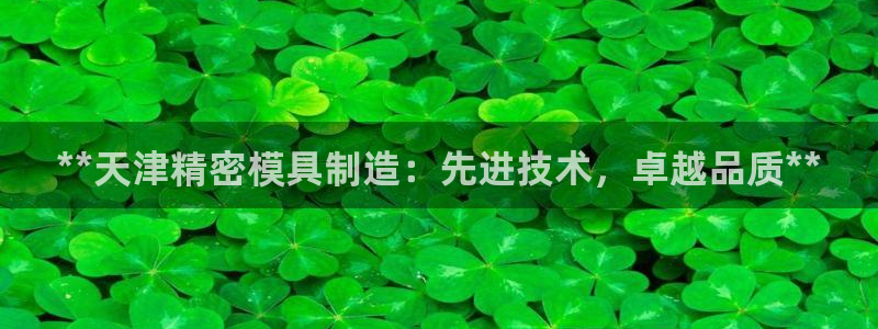 彩神V集团有限公司：**天津精密模具制造：先进技术，卓越品质**