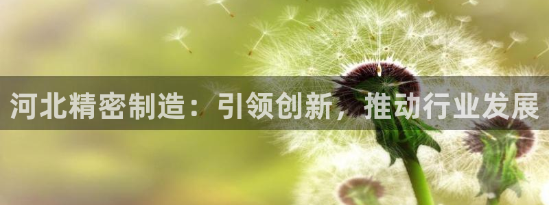 彩神赢钱了吗知乎