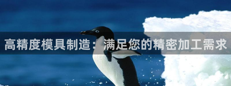 彩神v8手机客户端在哪：高精度模具制造：满足您的精密加工需求