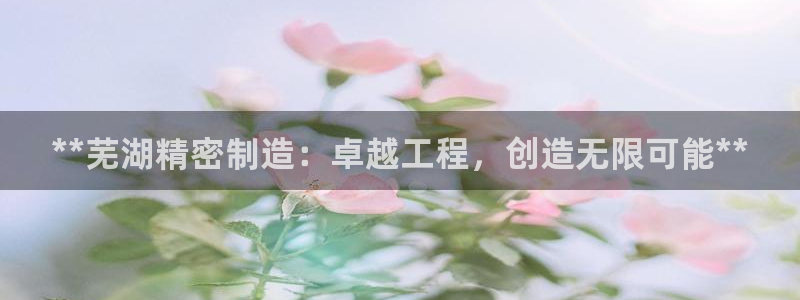 彩神v8是真的挣钱吗：**芜湖精密制造：卓越工程，创造无限可能**