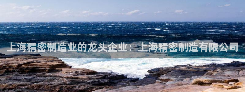 彩神vlll官方网：上海精密制造业的龙头企业：上海精密制造有限公司