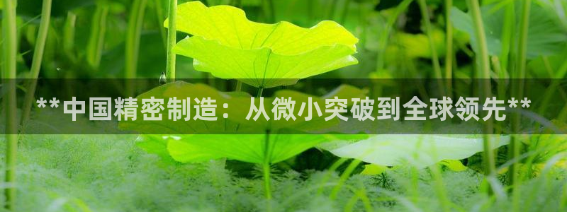 彩神vii购彩l心：**中国精密制造：从微小突破到全球领先**
