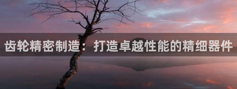 彩神趣购彩用户注册：齿轮精密制造：打造卓越性能的精细器件