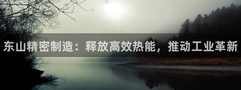 新版彩神v8登录教程：东山精密制造：释放高效热能，推动工业革新
