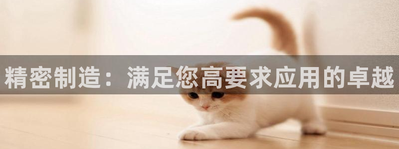 彩神vlll游戏特色：精密制造：满足您高要求应用的卓越