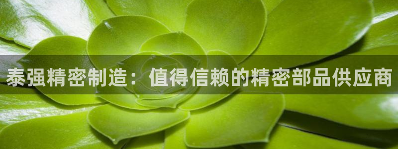彩神8官网下：泰强精密制造：值得信赖的精密部品供应商