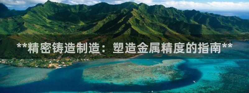 彩神viii下载安卓：**精密铸造制造：塑造金属精度的指南**