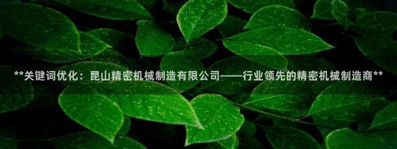 彩神ⅴll用户登录：**关键词优化：昆山精密机械制造有限公司——行业领先的精密机械制造商**