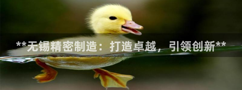 彩神v网赌软件下载：**无锡精密制造：打造卓越，引领创新**