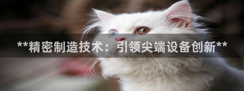 彩神v8下载app5.0：**精密制造技术：引领尖端设备创新**