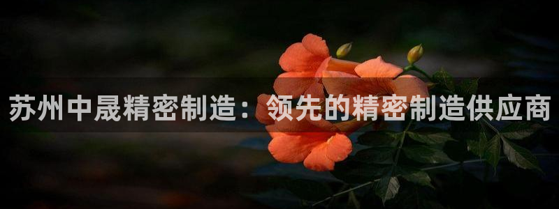 彩神v8是一个什么平台啊：苏州中晟精密制造：领先的精密制造供应商