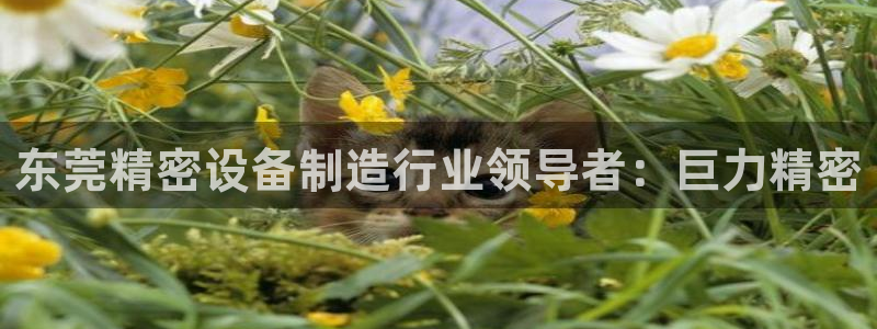 彩神骗局：东莞精密设备制造行业领导者：巨力精密