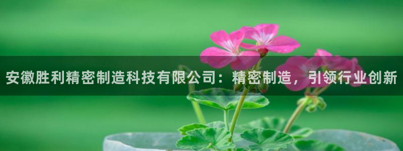 彩神vlll官方网：安徽胜利精密制造科技有限公司：精密制造，引领行业创新