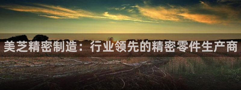 彩神购彩-购彩大厅入口：美芝精密制造：行业领先的精密零件生产商