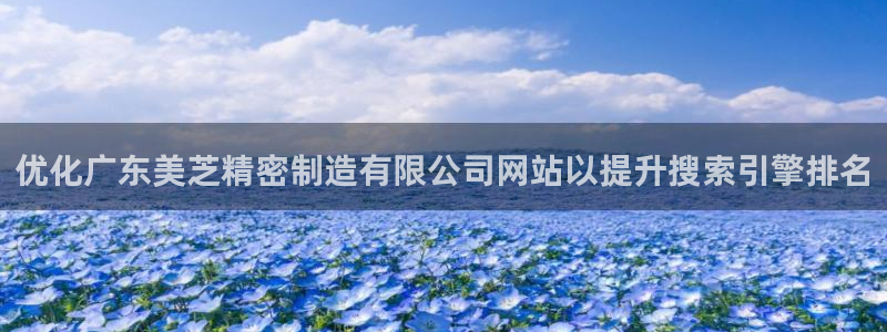彩神vllⅰ购彩大厅：优化广东美芝精密制造有限公司网站以提升搜索引擎排名