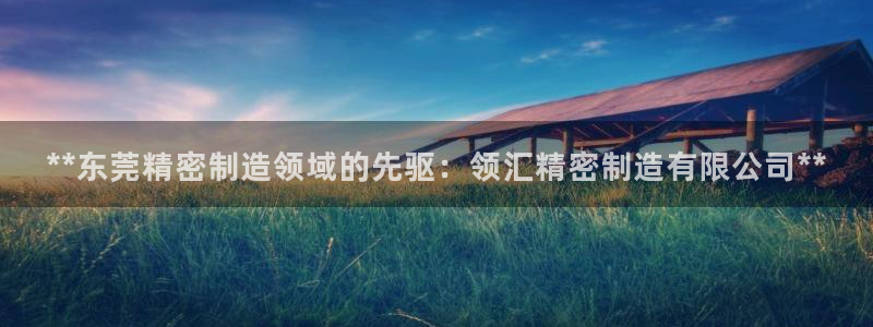 彩神平台可以破解吗：**东莞精密制造领域的先驱：领汇精密制造有限公司**