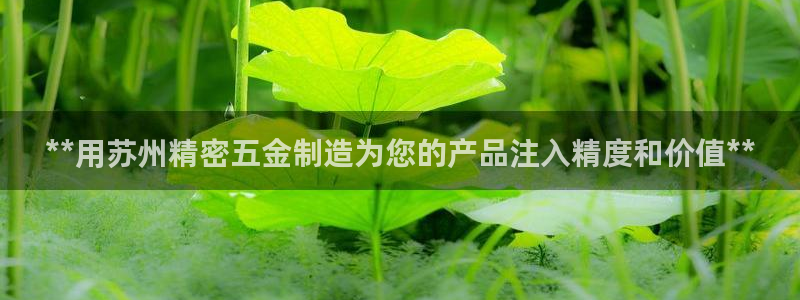 彩神8下载安卓版-彩神8(可提现)官网版1.0.0：**用苏州精密五金制造为您的产品注入精度和价值**