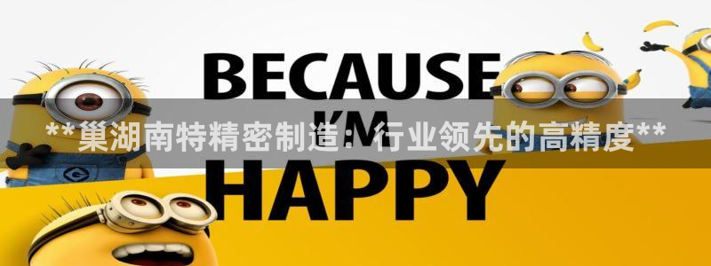 彩神vll购彩大厅大众：**巢湖南特精密制造：行业领先的高精度**