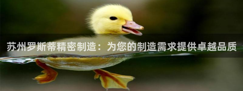 彩神ix官网是哪个公司的：苏州罗斯蒂精密制造：为您的制造需求提供卓越品质
