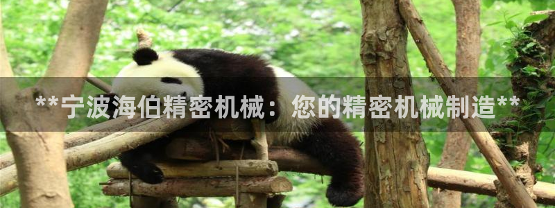 彩神趣购彩用户注册：**宁波海伯精密机械：您的精密机械制造**
