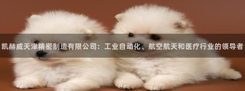 彩神VII购彩中心：凯赫威天津精密制造有限公司：工业自动化、航空航天和医疗行业的领导者