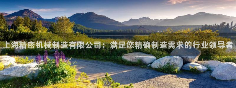 彩神争霸官方下载：上海精密机械制造有限公司：满足您精确制造需求的行业领导者