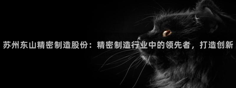 彩神到底能不能赚钱：苏州东山精密制造股份：精密制造行业中的领先者，打造创新