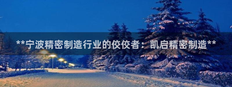 彩神vlll官方网：**宁波精密制造行业的佼佼者：凯启精密制造**