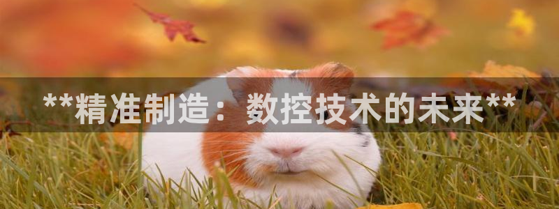 彩神网能赚钱是怎么回事：**精准制造：数控技术的未来**