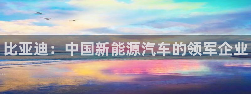 彩神velcome购彩大厅：比亚迪：中国新能源汽车的领军企业