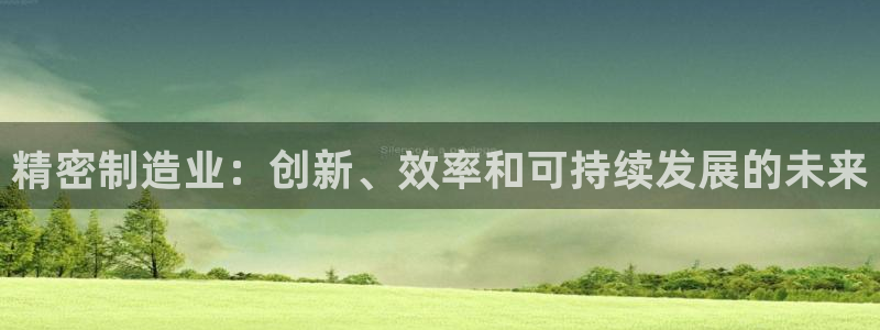 彩神购彩-购彩大厅入口：精密制造业：创新、效率和可持续发展的未来