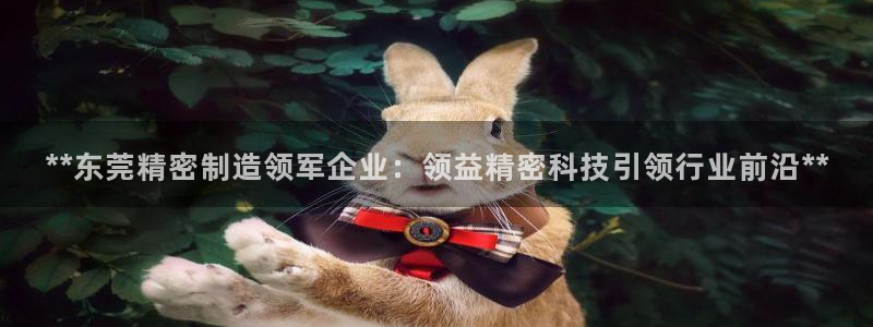 彩神v彩搜狗：**东莞精密制造领军企业：领益精密科技引领行业前沿**