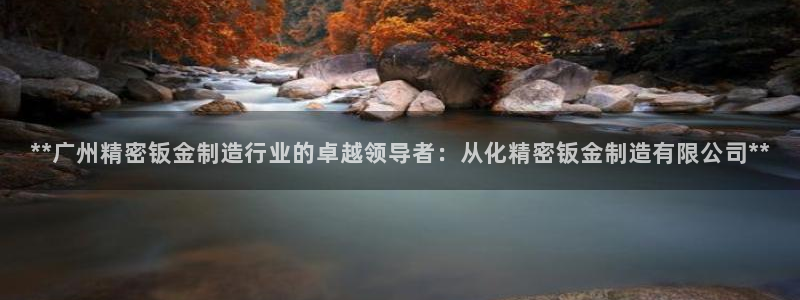 彩神平台是什么套路：**广州精密钣金制造行业的卓越领导者：从化精密钣金制造有限公司**
