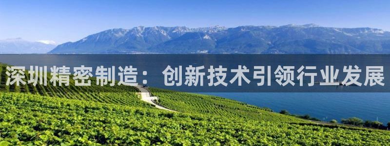 彩神vlll官网网上购彩：深圳精密制造：创新技术引领行业发展