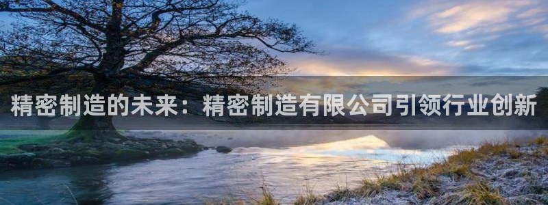 彩神v8手机客户端怎么下载：精密制造的未来：精密制造有限公司引领行业创新