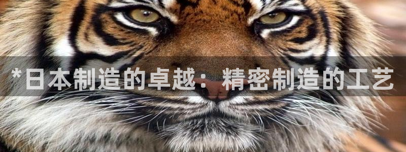 彩神v8是真的挣钱吗知乎：*日本制造的卓越：精密制造的工艺