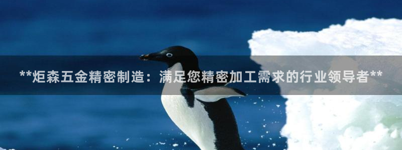 所有彩神购买首页都一样吗：**炬森五金精密制造：满足您精密加工需求的行业领导者**