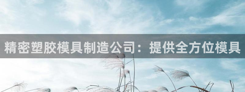 彩神ii官方网：精密塑胶模具制造公司：提供全方位模具