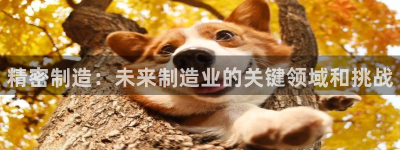 彩神v8几个版本：精密制造：未来制造业的关键领域和挑战