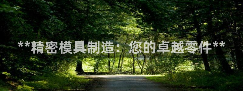 彩神vll购彩大厅大众：**精密模具制造：您的卓越零件**