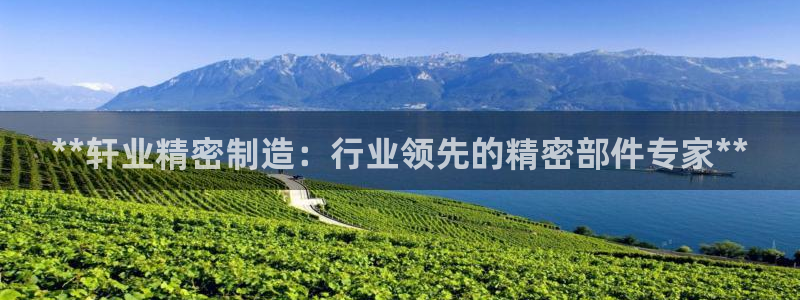 彩神合法吗.是国家认可的吗：**轩业精密制造：行业领先的精密部件专家**