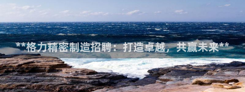 下载彩神乐发V1：**格力精密制造招聘：打造卓越，共赢未来**