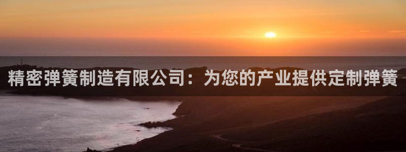 下载彩神乐发V：精密弹簧制造有限公司：为您的产业提供定制弹簧