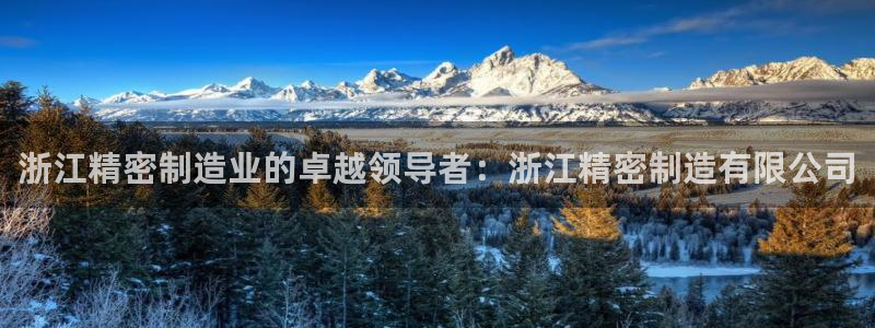 彩神购彩购彩大厅入口v：浙江精密制造业的卓越领导者：浙江精密制造有限公司