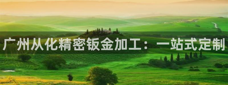 天天彩神welcome：广州从化精密钣金加工：一站式定制