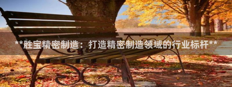 彩神网可以赚钱是真的吗：**胜宝精密制造：打造精密制造领域的行业标杆**