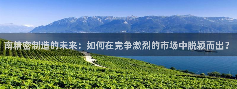 彩神v8是真的挣钱吗安全吗：南精密制造的未来：如何在竞争激烈的市场中脱颖而出？