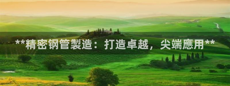 彩神输的钱是赌博还是诈骗：**精密钢管製造：打造卓越，尖端應用**