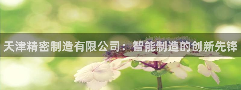 彩神V8平台：天津精密制造有限公司：智能制造的创新先锋